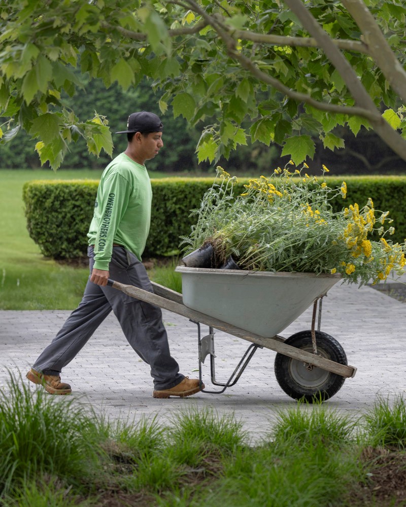 Owen Brothers Landscaping team member with wheelbarrow.