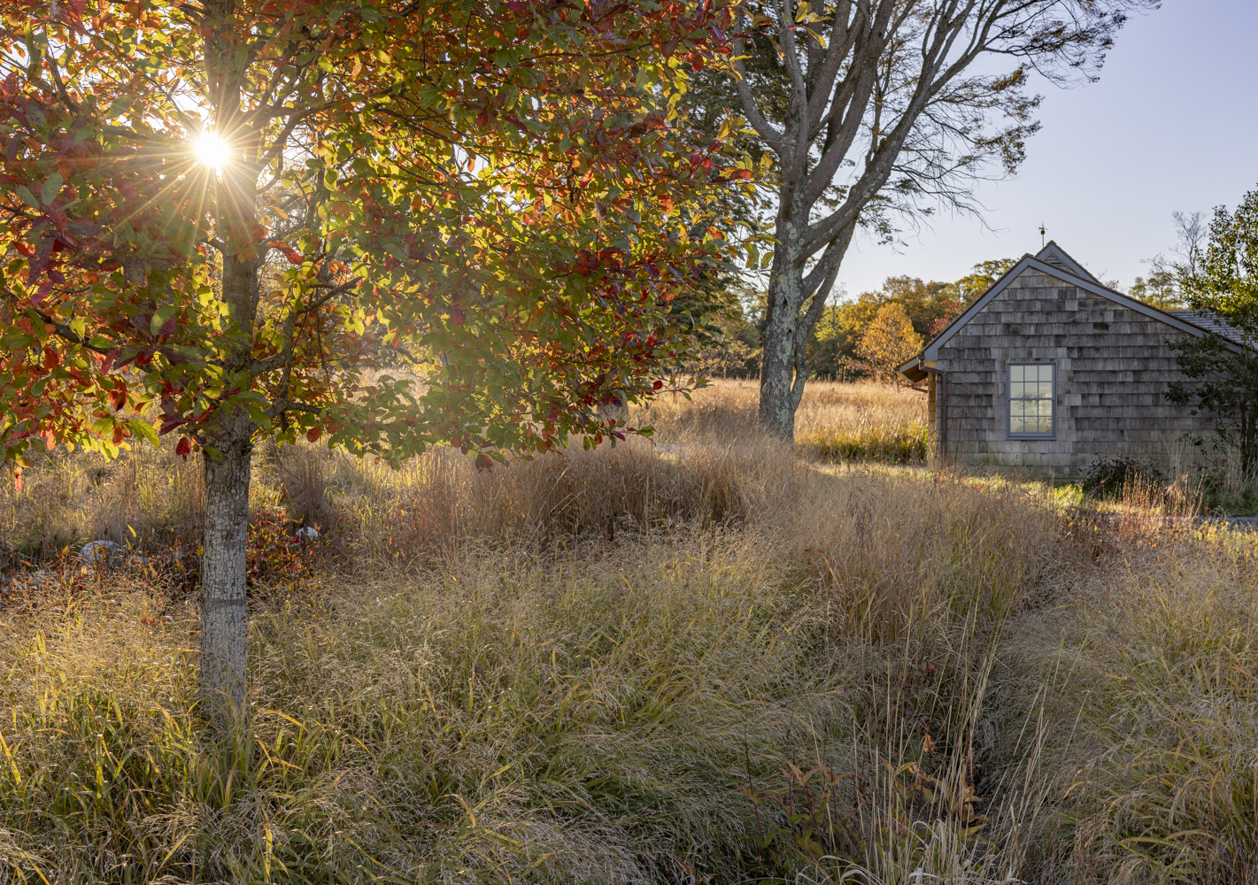 Gallery: Avalon Park 2025; Tags: Landscape Design, Landscape Development, Hardscape, Landscape Maintenance, Long Island Landscaping, North Shore Landscapes, North Fork Landscaping Company,  Saint James Property Development 